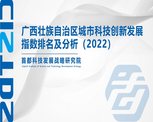 必射视频在线【成果发布】广西壮族自治区城市科技创新发展指数排名及分析（2022）